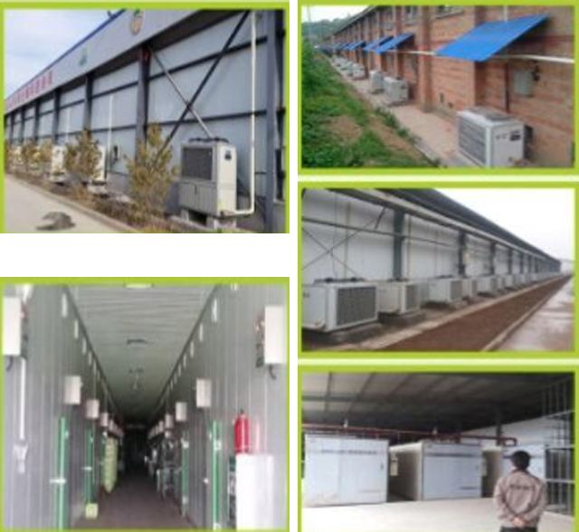 陕西PYQ-1000蒸汽锅炉食用菌项目